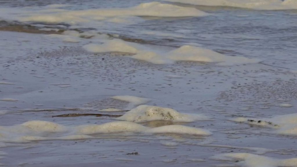 Pas-de-Calais : la plage de Wissant déconseillée à la baignade car trop polluée selon une étude
Les résultats d'une nouvelle étude sur la pollution de l'eau des plages du Pas-de-Calais pointe leur pollution importante, notamment en raison des eaux usées. L'association déconseille de s'y baigner, à l'instar d'autres plages des Hauts-de-France.