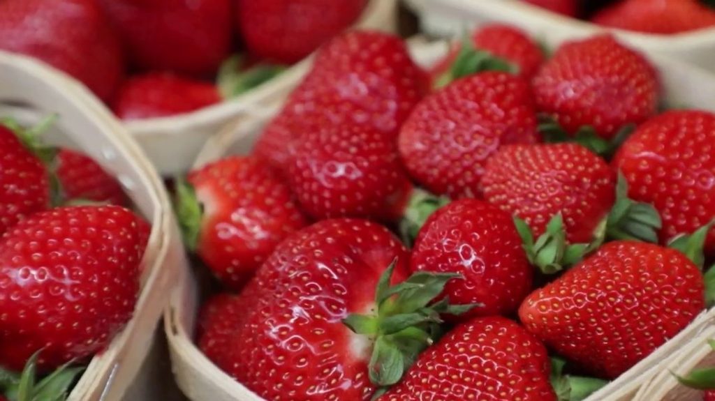 Consommation : le prix des fraises va-t-il baisser ?
Après un mois de mai pluvieux, la production de fraise va être rattrapée en juin, faisant craindre des invendus pour les maraîchers. Ils demandent aux consommateurs de les soutenir.