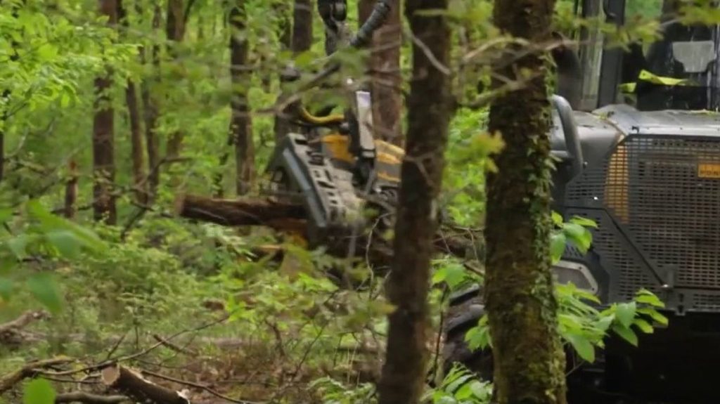 Tempête Ciaran : d’importants stocks de bois sont à vendre
Les tempêtes se succèdent et certaines peuvent abîmer durablement les forêts. Celle du Huelgoat, dans le Finistère, porte encore les stigmates de la tempête Ciaran. Des arbres ont été déracinés, mais leur bois peut encore être sauvé. Reportage.