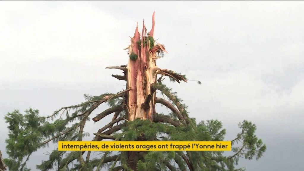 Vidéo
De violents orages ont balayé une large partie de la France samedi soir
Des orages diluviens ont touché le département du Tarn, une rafale de 130 km/h a été relevée à Tonnerre, dans l'Yonne.