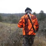 Les accidents de chasse sont en légère hausse cette saison, mais la tendance sur vingt ans reste à la baisse
Sur la saison 2023-2024, 97 accidents de chasse ont été recensés, contre 78 l'an dernier, dont six mortels, uniquement parmi les chasseurs, décompte l'Office français de la biodiversité.