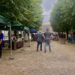 Reportage
Législatives 2024 : dans le Val-d'Oise, les électeurs macronistes "dans une impasse" après le maintien de leur candidate
Dans la 1re circonscription, la députée sortante Emilie Chandler a choisi de ne pas se désister au risque de permettre l'élection de la candidate du Rassemblement national. Ses soutiens sont parfois perdus sur la marche à suivre au second tour.