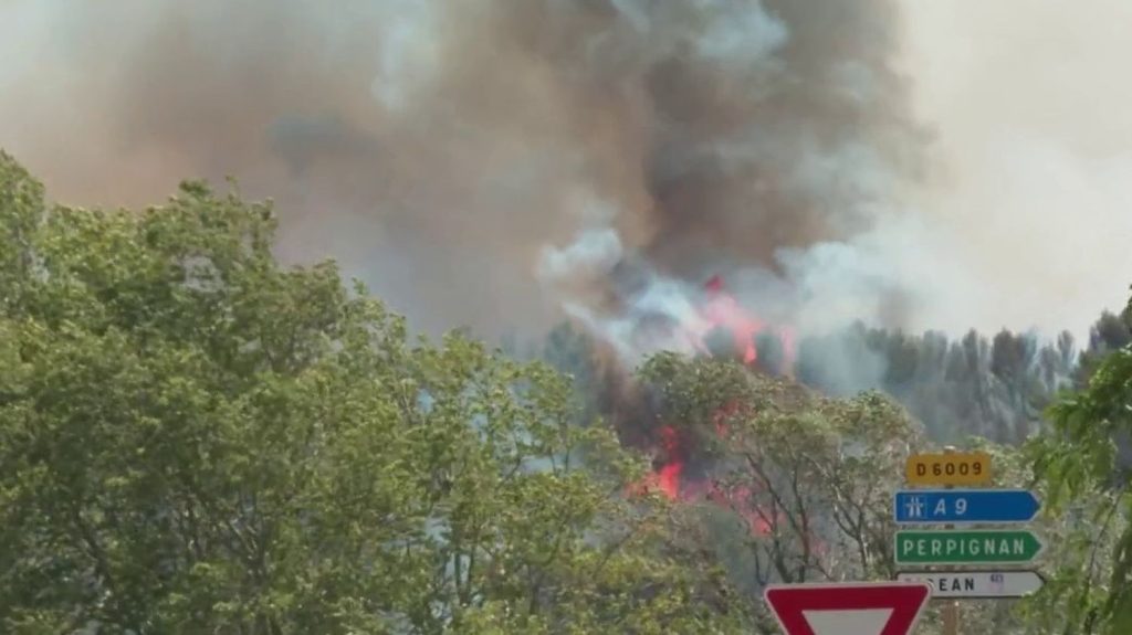 Incendie : un feu de forêt a éclaté dans l’Aude
Un incendie a éclaté, ce mardi 2 juillet, près de la réserve africaine de Sigean, dans l'Aude. 35 hectares ont été ravagés par les flammes.