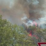 Incendie : un feu de forêt a éclaté dans l’Aude
Un incendie a éclaté, ce mardi 2 juillet, près de la réserve africaine de Sigean, dans l'Aude. 35 hectares ont été ravagés par les flammes.