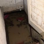 Orages : d'importants dégâts en Meurthe-et-Moselle après des inondations
Les orages ont provoqué des inondations dans le village de Pagny-sur-Moselle, en Meurthe-et-Moselle, lundi 15 juillet. Certains habitants n'avaient plus d'électricité.