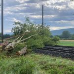 Orages : des dégâts dans le grand Sud Ouest et dans le centre de la France
La grêle a endommagé des toitures, perforé des pare-brises, dévasté des jardins et endommagé les réseaux électriques. Pour l'heure, aucun blessé n'a été signalé.