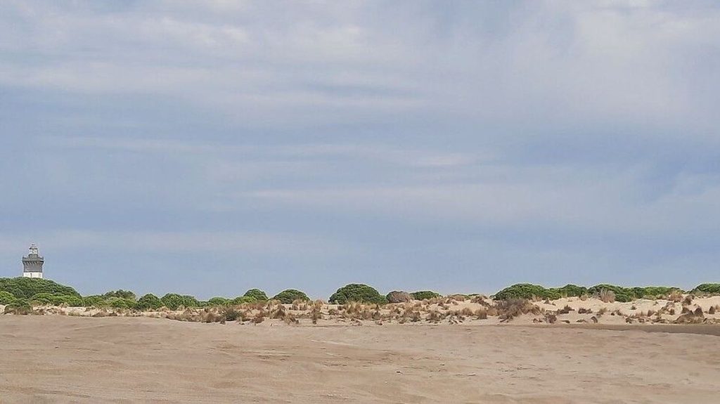 Grau-du-Roi : une pollution maritime détectée au large d'une plage
Au Grau-du-Roi, la préfecture du Gard a interdit la baignade et la pêche sur certaines plages, vendredi 26 juillet. Les employés d'un camping affirment avoir vu des particules noires dans l'eau.