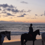 Landes : à cheval, en kayak ou à vélo, des promenades inoubliables entre dunes et forêts
Le 13 Heures Découverte poursuit sa plongée au cœur des Landes. Focus, ce jeudi 4 juillet, sur une piste cyclable en pleine nature, du kayak nocturne et une randonnée à cheval au coucher du soleil.