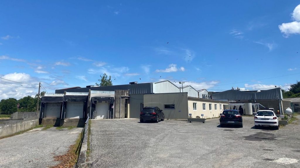 L214 porte plainte pour mauvais traitements dans un abattoir de Boulogne-sur-Gesse, en Haute-Garonne
L'association de protection des animaux demande la fermeture de l'établissement à la préfecture de Haute-Garonne.