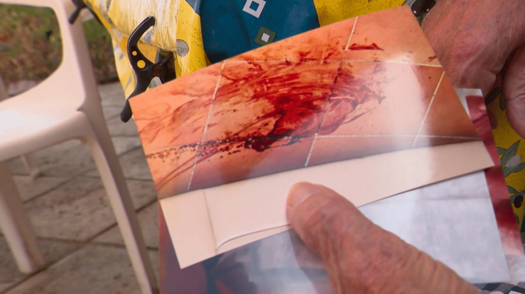 Alpes-de-Haute-Provence : des habitants victimes de tortures durant de violents cambriolages
Deux hommes suspectés d'être les auteurs de cambriolages violents ont été incarcérés. Parmi leurs potentielles victimes, Jean, 88 ans, antiquaire à la retraite, qui vit à Corbières-en-Provence, témoigne.