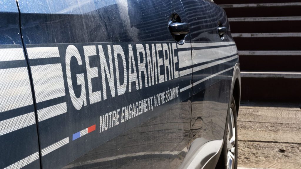 Un chasseur tué dans un accident de chasse près de Sedan dans les Ardennes
La victime a reçu une balle dans la poitrine dans les bois de la commune de Stonne, près de Sedan, dans les Ardennes.