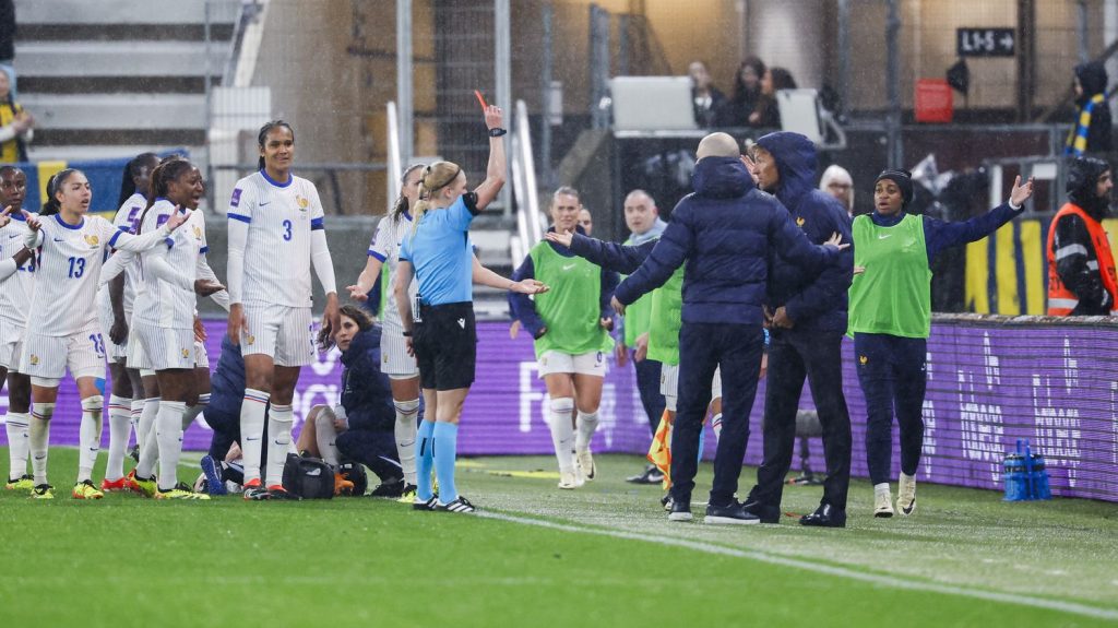 Football : l'équipe de France féminine dégringole au classement Fifa et signe le pire classement de son histoire
Classées deuxièmes lors de la dernière mise à jour, les Bleues ont été reclassées à la 10e place du classement Fifa vendredi.