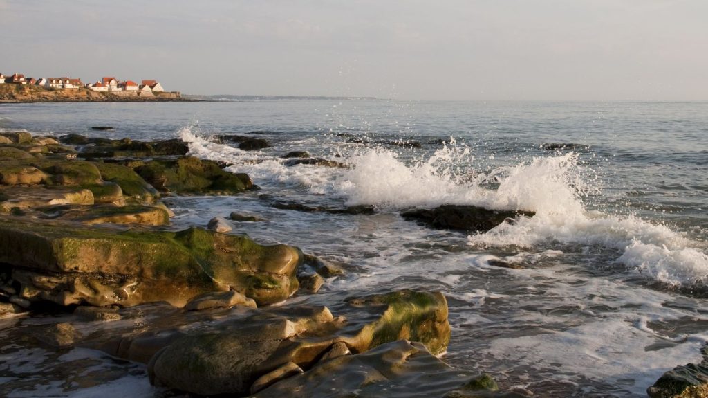 Pas-de-Calais : des ballots de cocaïne retrouvés sur les plages d'Audresselles et Ambleteuse
À la revente, les 85 kilos de cocaïne retrouvés sur ces plages sont estimés à près de six millions d'euros.