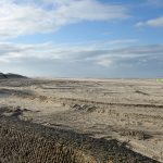 Enfant disparu à Berck : un corps de petite taille retrouvé sur une plage, "vraisemblablement" celui du garçon
Un petit garçon de 10 ans avait disparu jeudi après s'être baigné avec deux autres enfants, près de Berck, dans le Pas-de-Calais.