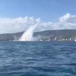 Vidéo
"On s'est tous arrêtés de respirer", raconte un témoin du crash d'un avion dans le Lavandou pendant les commémorations du Débarquement de Provence
L'avion d'une association s'est écrasé en mer dans le Lavandou vendredi 16 août pendant les commémorations des 80 ans du Débarquement de Provence. Le corps du pilote a été retrouvé.