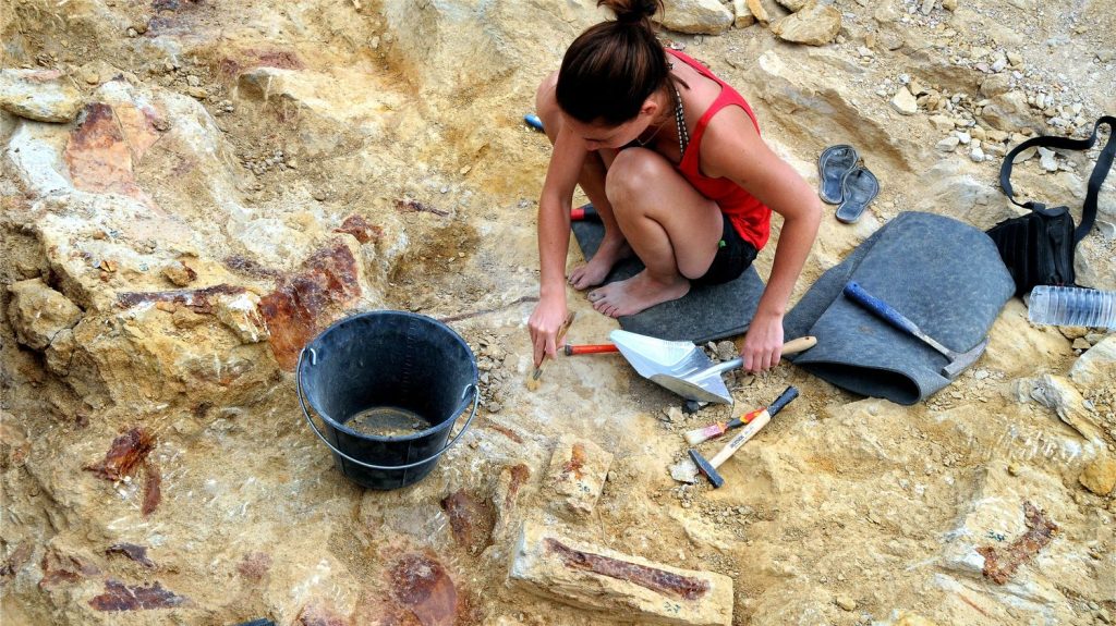 Près de 80 empreintes de dinosaures vieilles de 200 millions d’années retrouvées en Lozère
Des premières empreintes avaient été trouvées sur le site de Saint-Laurent-de-Trèves, en Lozère, en mai 2023.
