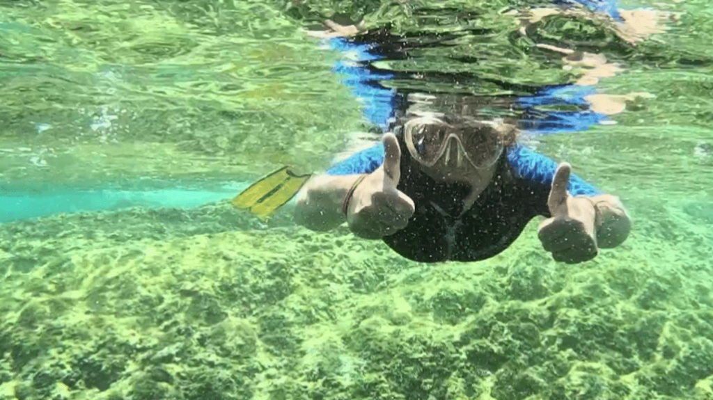 Var : plongée à la découverte des fonds marins
Sur la côte varoise, on peut découvrir la Méditerranée jamais auparavant. Un sous-marin aux parois de verre permet d'observer la biodiversité de la région, qui peut aussi être explorée en plongée sous-marine.