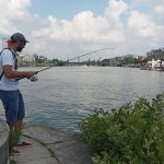 Reportage
"On a plusieurs dizaines d'espèces de poissons" : grâce à sa dépollution pour les JO de Paris 2024, les pêcheurs observent le retour de la biodiversité dans la Seine
La tenue des épreuves des Jeux olympiques n'est pas le seul enjeu. La dépollution de la Seine permet aussi de créer des conditions de développement plus favorables pour les poissons ou les oiseaux.