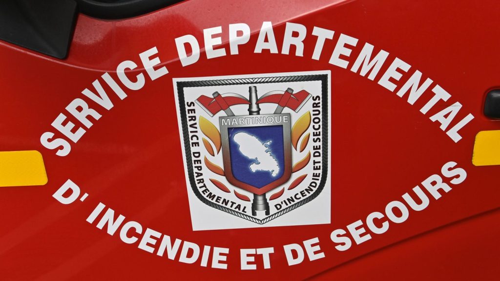 Un enfant de 5 ans grièvement blessé par balle lors d'un différend de voisinage en Martinique
Le pronostic vital du petit garçon est engagé, l'auteur du tir est en fuite.