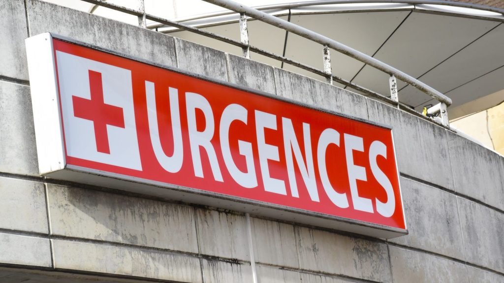 Une fillette grièvement blessée après avoir été mordue par un chien à Anglet dans les Pyrénées-Atlantiques
La petite fille âgée de 20 mois a été attaquée par le chien mercredi à la terrasse d'un restaurant. La morsure a nécessité 70 points de suture.