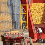 Charente-Maritime : la principale usine de pop-corn de France détruite par un incendie, "un énorme coup dur pour toute la filière locale"
L'incendie s'est déclaré mercredi soir. Pas de victimes, mais des conséquences immédiates pour l'économie locale.