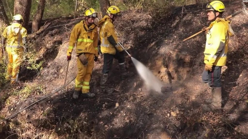 Pyrénées-Orientales : un incendie maîtrisé, le département en alerte rouge
Un incendie s’est déclaré près de Perpignan (Pyrénées-Orientales), samedi 24 août en fin d’après-midi. Il a touché plusieurs communes et brûlé 81 d’hectares.