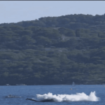 Meeting aérien dans le Var : un avion s'écrase pendant les commémorations du débarquement de Provence
Un avion s’est écrasé en mer, vendredi 16 août, dans le Lavandou (Var), pendant un meeting aérien consacré aux commémorations du débarquement de Provence.