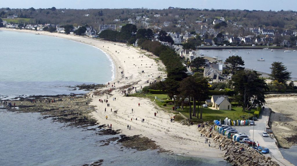 Finistère : une plage de Concarneau est fermée à cause de l'échouage de centaines d'anguilles de mer
La baignade, les activités nautiques et les promenades sont notamment interdites jusqu'à mardi.