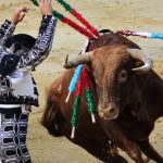 Une plainte déposée après la mise à mort d'un jeune taureau aux arènes de Beaucaire
La plainte de l'association Alliance Anticorrida dénonce les conditions de mise à mort de l'animal qui ont indigné les associations de protection animale mais aussi le public et la communauté de toreros.
