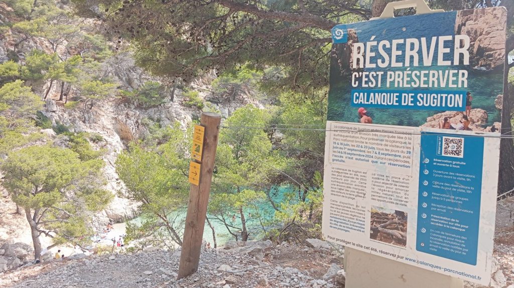 Reportage
"Des conditions réunies pour avoir de nouveaux arbres" : dans la calanque de Sugiton, les quotas contre le surtourisme commencent à faire effet
Depuis trois ans, des quotas de réservation sont mis en place pour la calanque de Sugiton, près de Marseille. Le site a beaucoup souffert de la surfréquentation, et des stigmates sont encore visibles.