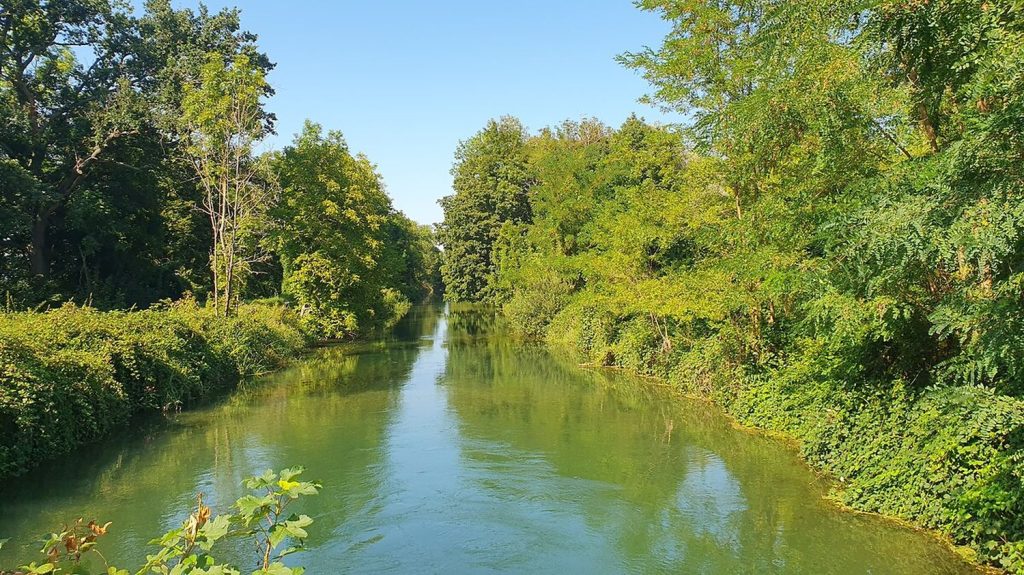 Reportage
"On peut imaginer ce que ça va devenir" : en Alsace, la réhabilitation du canal Rhin-Rhône ne fait pas l'unanimité
Le projet porté par la région Grand Est prévoit de réhabiliter 24 kilomètres de canal, avec une dizaine d'écluses, sur une portion laissée à l'abandon depuis une soixantaine d'années.