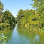 Reportage
"On peut imaginer ce que ça va devenir" : en Alsace, la réhabilitation du canal Rhin-Rhône ne fait pas l'unanimité
Le projet porté par la région Grand Est prévoit de réhabiliter 24 kilomètres de canal, avec une dizaine d'écluses, sur une portion laissée à l'abandon depuis une soixantaine d'années.