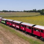 Charente-Maritime : à bord du Train des Mouettes
En Charente-Maritime, un train est classé aux monuments historiques. C’est le "Train des Mouettes". La locomotive a été fabriquée en 1891 et roule encore grâce au travail d’une association. Reportage.