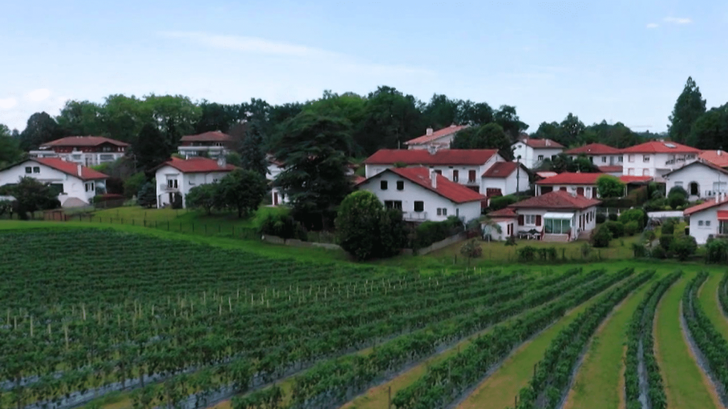 Vacances d'été : à la découverte du Pays basque, entre montagne et océan
France Télévisons se rend cette semaine au Pays basque, dans le cadre de sa série d’été "La route des vacances". Une escapade entre les airs, la terre ferme et les eaux du Bidassoa.