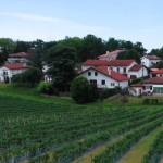 Vacances d'été : à la découverte du Pays basque, entre montagne et océan
France Télévisons se rend cette semaine au Pays basque, dans le cadre de sa série d’été "La route des vacances". Une escapade entre les airs, la terre ferme et les eaux du Bidassoa.