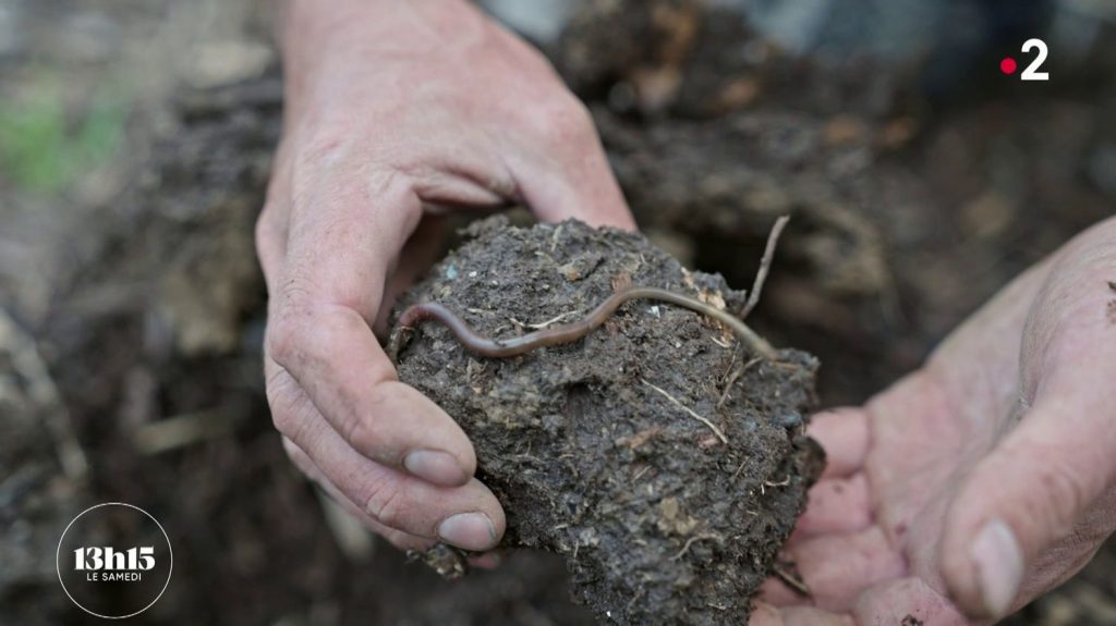 Vidéo
Sécheresse dans les Pyrénées-Orientales : les agriculteurs se réinventent pour économiser l'eau
Face à la sécheresse historique qui sévit dans les Pyrénées-Orientales, les agriculteurs tentent de trouver des solutions pour garder leur activité. André, conscient des enjeux écologiques, s'est lancé avec succès dans la permaculture.