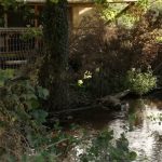 Fermes : quand la nature reprend ses droits
Dans la Drome, deux agriculteurs ont décidé de redonner vie à leur terre où on pratiquait autrefois de la culture intensive.
