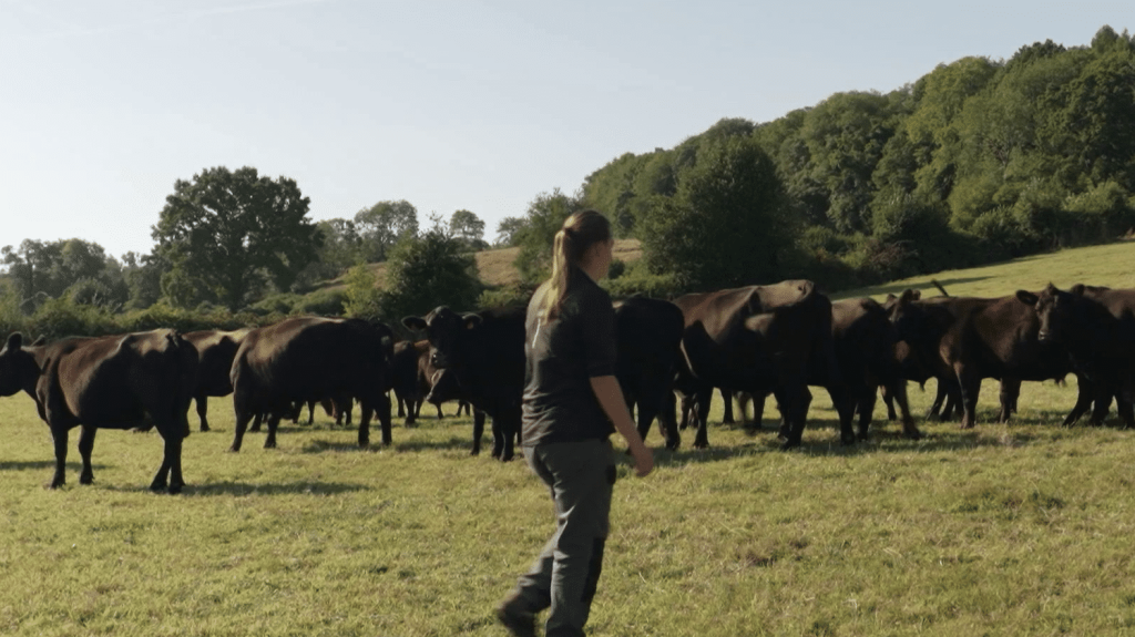 Des agriculteurs se regroupent pour embaucher
Face aux retards des aides promises par l’État en janvier dernier, des agriculteurs se regroupent pour pouvoir embaucher des salariés.