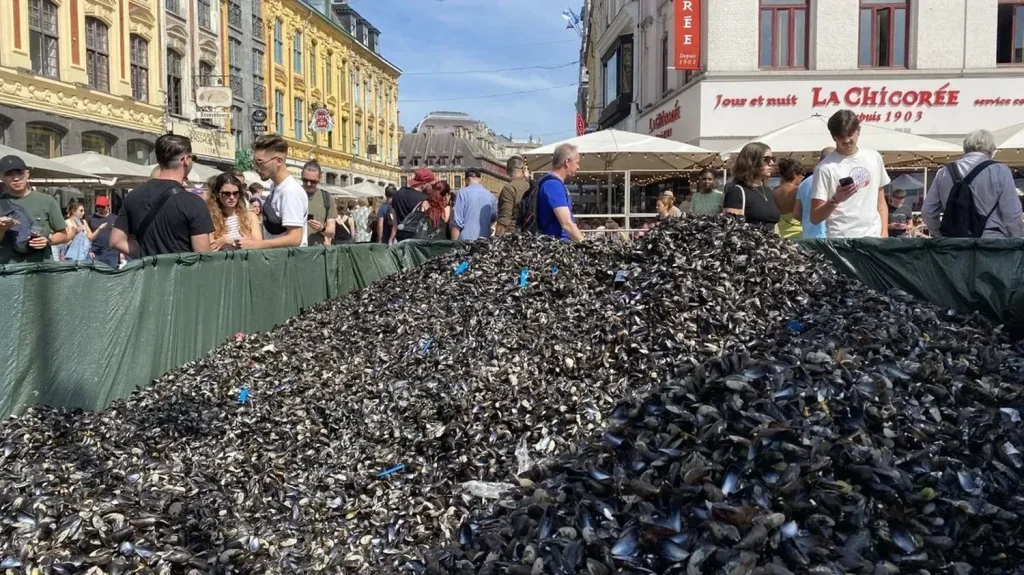 Braderie de Lille 2024 : les milliers de coquilles de moules seront utilisées pour faire des bancs
Plusieurs centaines de tonnes de moules sont dégustées pendant la braderie de Lille qui a lieu cette année samedi 14 et dimanche 15 septembre.