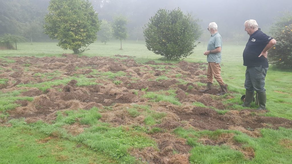 Reportage
Ouverture de la chasse : dans le Morbihan, la prolifération du sanglier devient un enjeu quotidien pour les habitants, les agriculteurs et même les chasseurs
Dans le Morbihan, certains habitants se tournent vers la chasse pour tenter d'enrayer la présence de sangliers, nuisibles pour les agriculteurs.