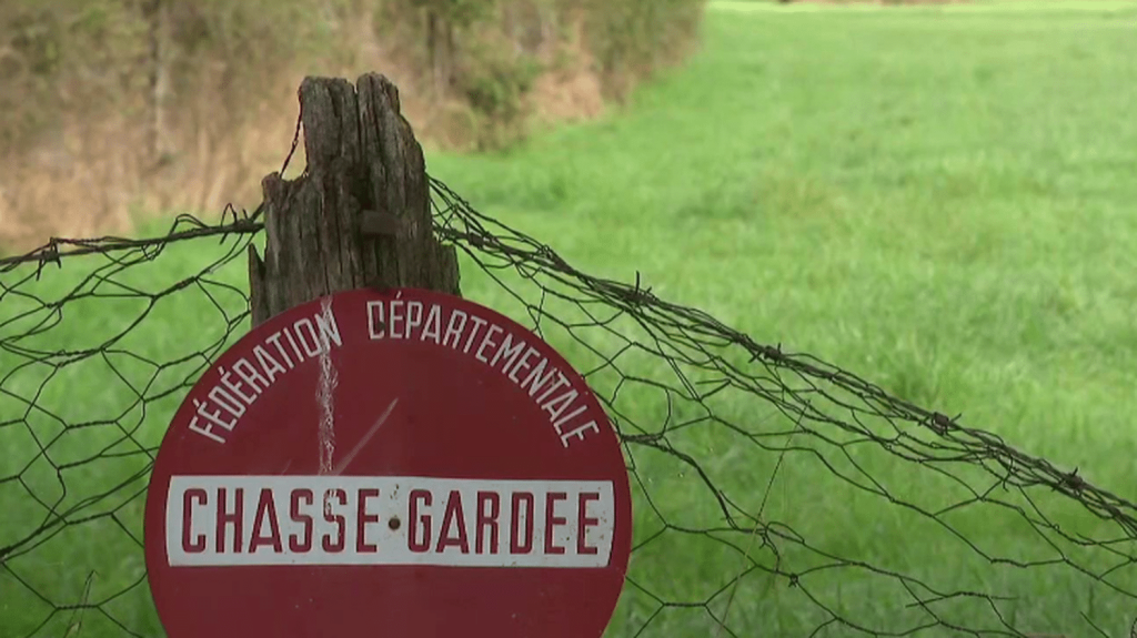 Loire : un chasseur tué lors d’une battue aux sangliers
Dans la Loire, un chasseur a été tué, samedi 28 septembre, par une balle perdue lors d’une battue aux sangliers. L’homme de 42 ans est décédé sur le coup. Une enquête pour homicide involontaire a été ouverte.