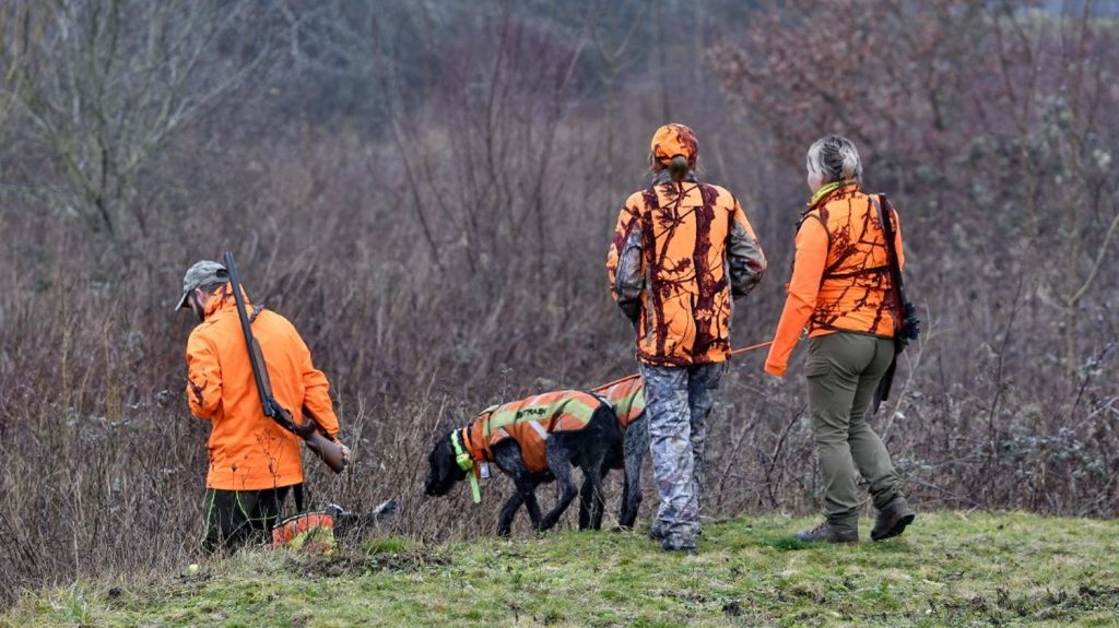 La période de chasse autorisée a débuté dimanche dans la plupart des départements
La chasse ouvrira une ou deux semaines plus tard dans les autres départements.