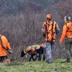 La période de chasse autorisée a débuté dimanche dans la plupart des départements
La chasse ouvrira une ou deux semaines plus tard dans les autres départements.