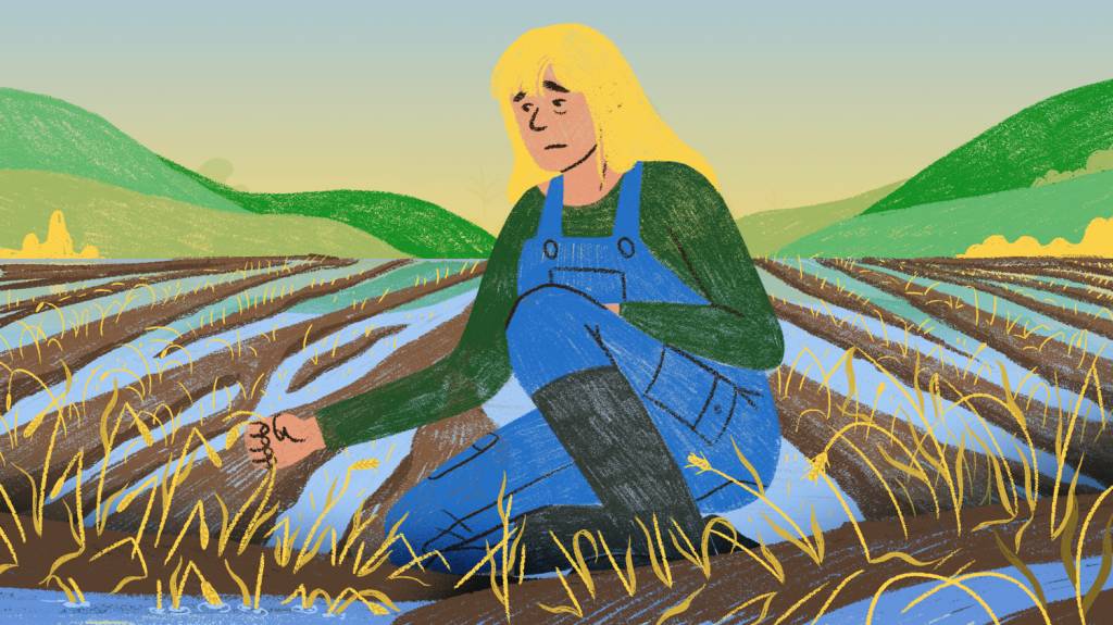 "On passe d'un excès à l'autre" : des agriculteurs face aux dégâts d'un été trop pluvieux, après des années de sécheresse
Les viticulteurs et les céréaliers subissent cette année de mauvaises récoltes, mais ils ne sont pas les seuls à avoir souffert d'un excès de pluie ces derniers mois.