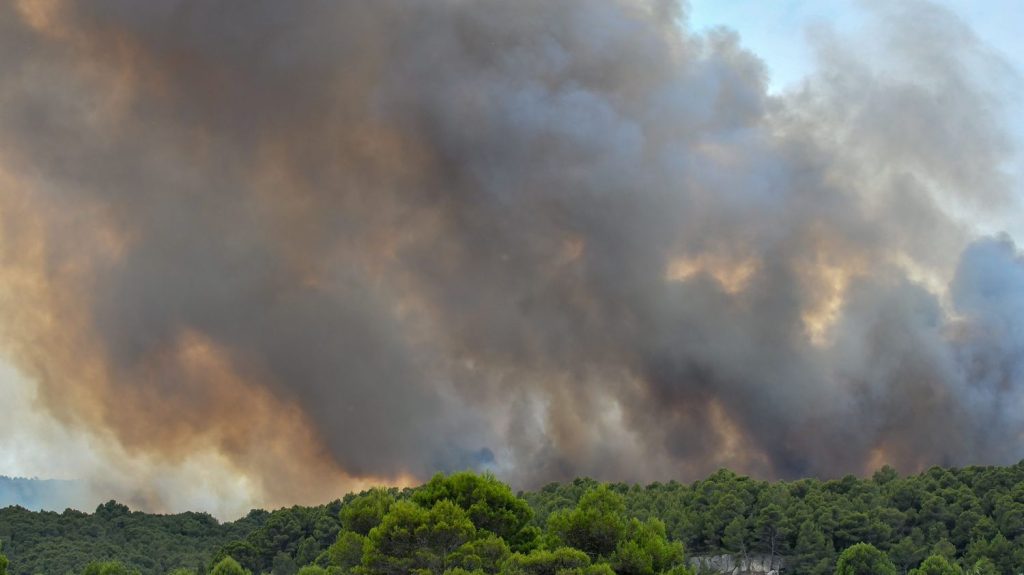 Incendie aux abords de Narbonne : 160 pompiers encore mobilisés toute la nuit "pour éviter qu'il y ait des reprises", indique le sous-préfet de l'Aude
Le feu qui s'est déclaré mardi ne progresse plus.