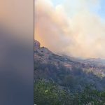 Incendie : un important feu éclate aux portes Narbonne
Un violent incendie de végétation s’est déclaré, ce mardi 10 septembre, près de Narbonne, dans l’Aude. Des habitations sont menacées.