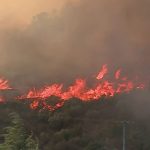 Pyrénées-Orientales : un village menacé par un violent incendie, des habitants évacués
Près de 800 pompiers luttent face à un feu très virulent, qui a déjà brûlé 440 hectares de végétation dans les Pyrénées-Orientales, jeudi 12 septembre. Les habitants du village de Castelnou ont été évacués.