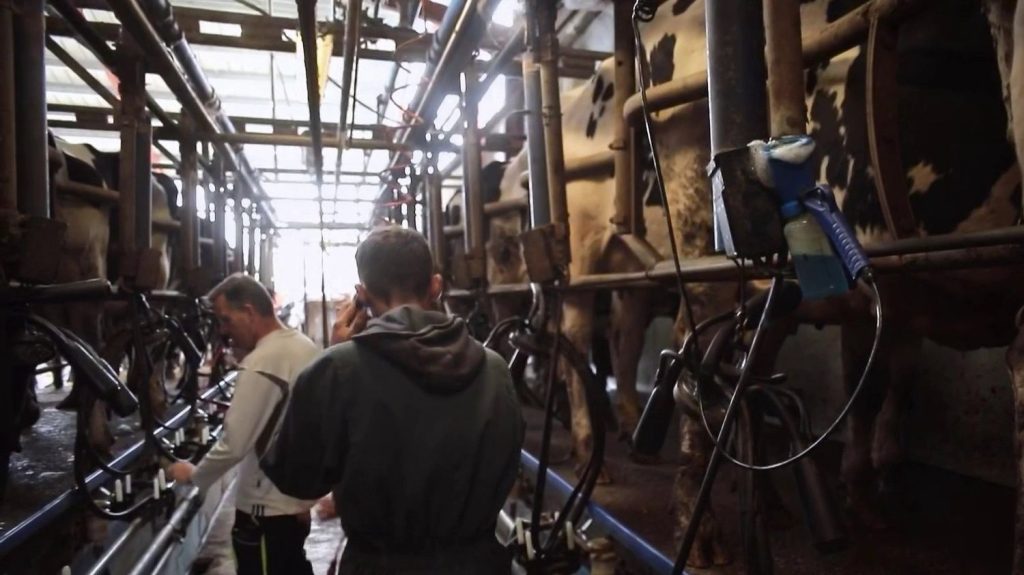 Agriculture : Lactalis annonce réduire sa collecte de lait en France
Le géant Lactalis va réduire sa collecte de lait en France, provoquant l'inquiétude chez les éleveurs. Au moins 510 producteurs seraient concernés partout en France.