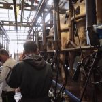 Agriculture : Lactalis annonce réduire sa collecte de lait en France
Le géant Lactalis va réduire sa collecte de lait en France, provoquant l'inquiétude chez les éleveurs. Au moins 510 producteurs seraient concernés partout en France.