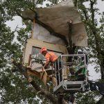 Chantier de l'A69 : la préfecture du Tarn appelle "les opposants à la raison et à descendre des arbres qu'ils occupent illégalement"
Des opposants à la construction de l'autoroute A69, entre Castres et Toulouse, s'opposent au déboisement sur le chantier en occupant certains arbres.